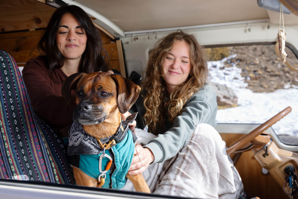 Traveling with Pets: Tips for RVers Bringing Their Furry Friends Along