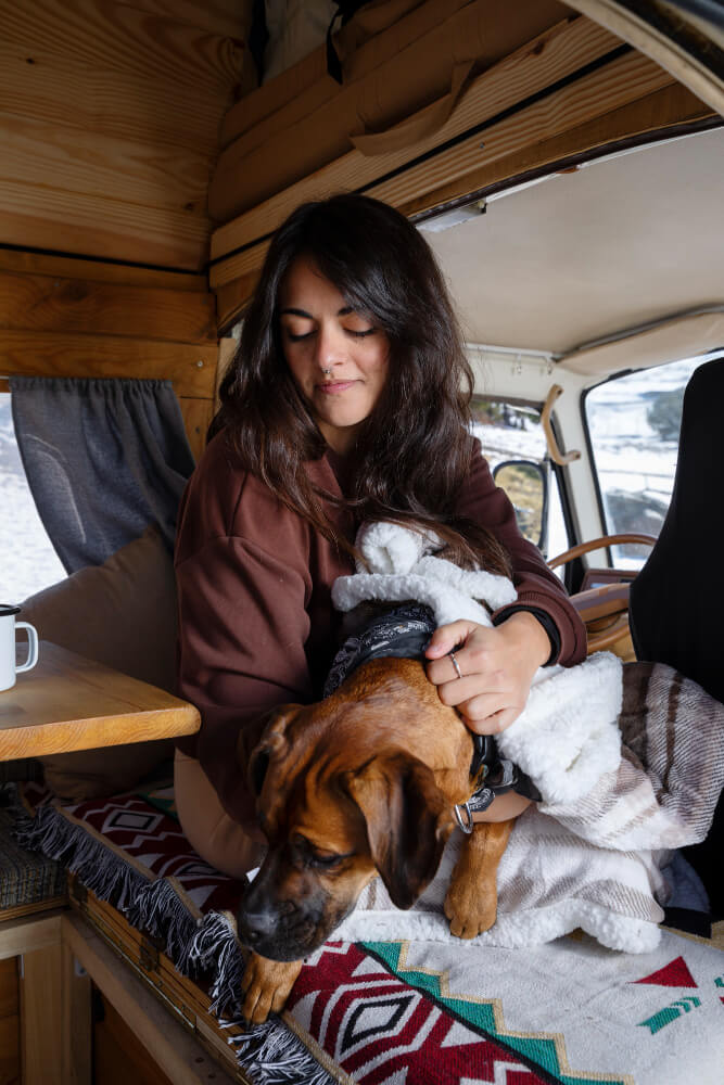 Traveling with Pets: Tips for RVers Bringing Their Furry Friends Along